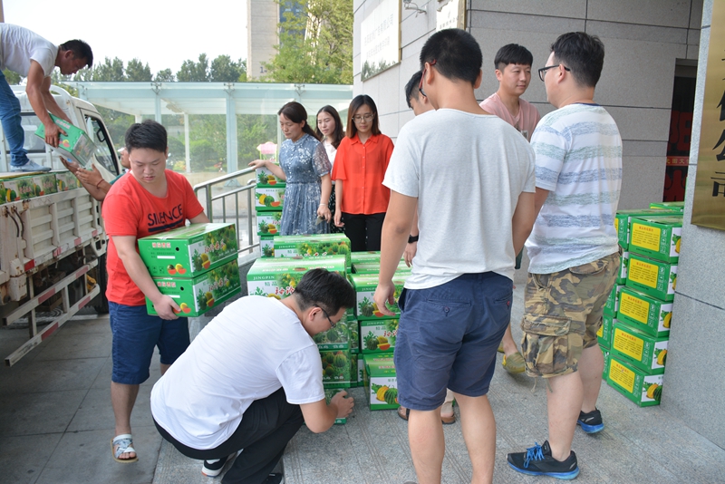 1500371554984222.jpg 04.jpg