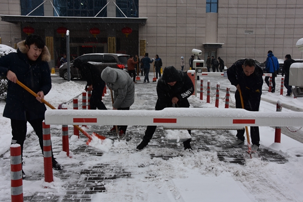 1515136689572537.jpg 3.公司志愿者冒雪開展義務掃雪活動.jpg