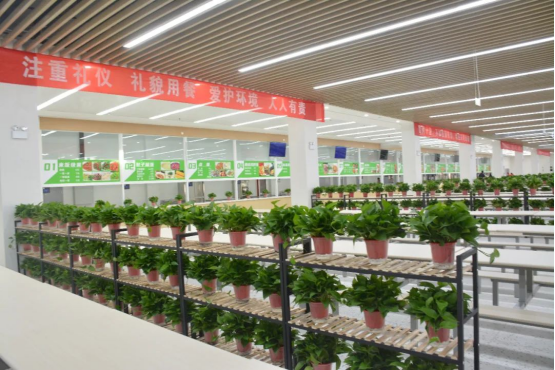 1693183442104696.png 圖片.png