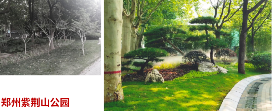 1693965632237750.png 圖片.png