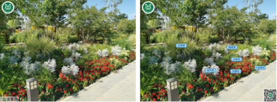 1693965723108289.png 圖片.png