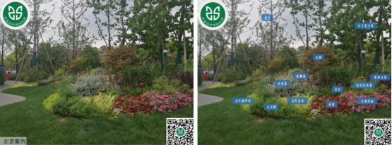 1693965755950529.png 圖片.png